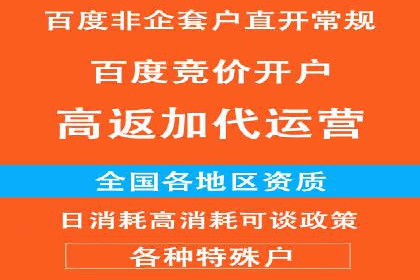 百度竞价广告案例分析：成功之道揭秘